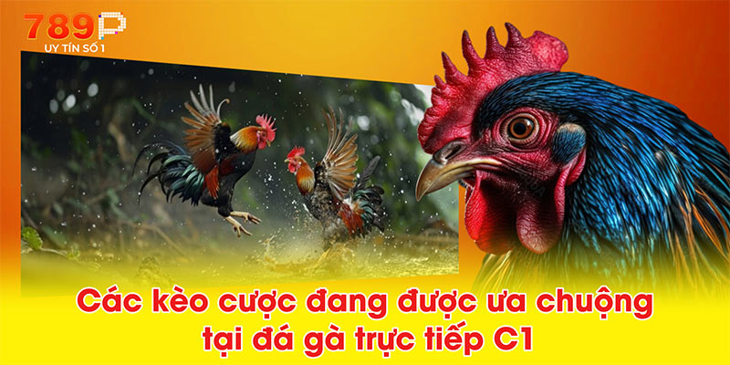 Các kèo cược đang được ưa chuộng tại đá gà trực tiếp C1