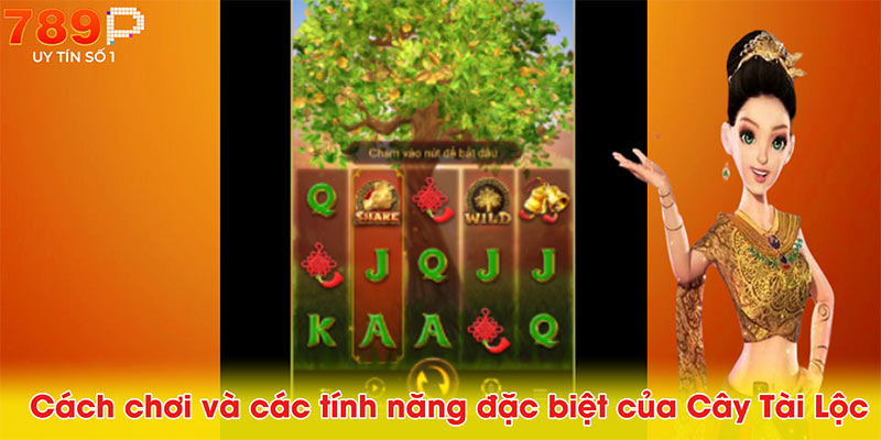 Cách chơi và các tính năng đặc biệt của Cây Tài Lộc