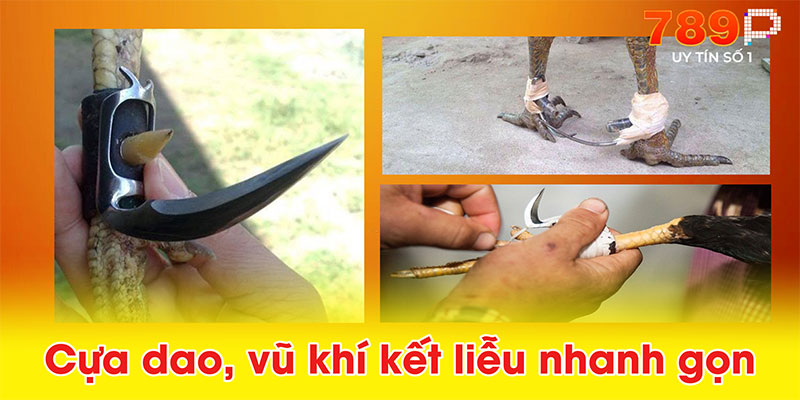 Cựa dao, vũ khí kết liễu nhanh gọn