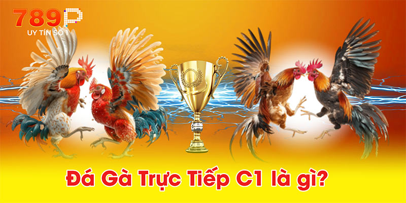 Đá Gà Trực Tiếp C1 là gì?