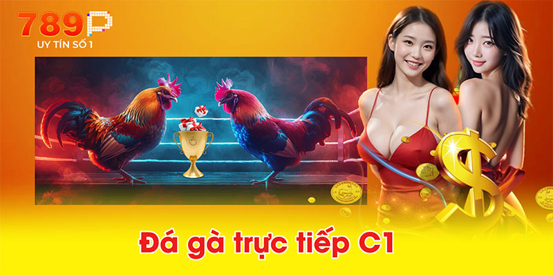 Đá gà trực tiếp C1