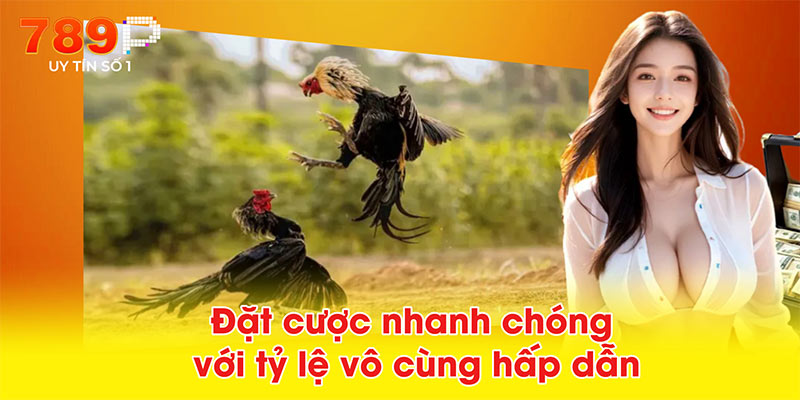 Đặt cược nhanh chóng với tỷ lệ vô cùng hấp dẫn