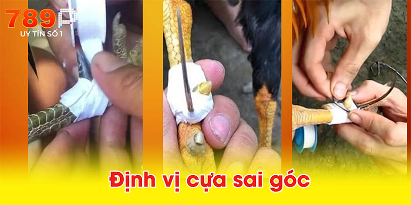 Định vị cựa sai góc