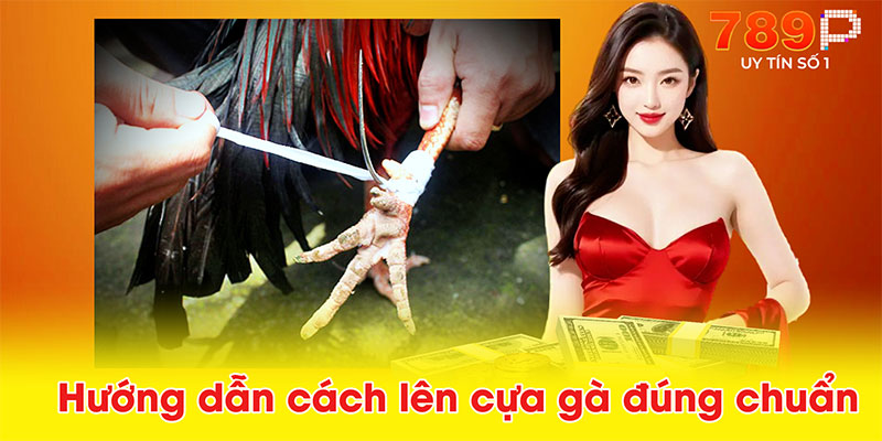 Hướng dẫn cách lên cựa gà đúng chuẩn