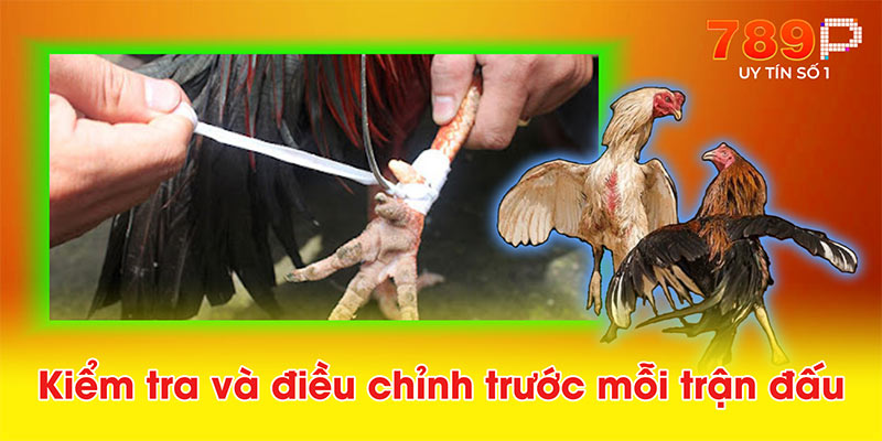 Kiểm tra và điều chỉnh trước mỗi trận đấu