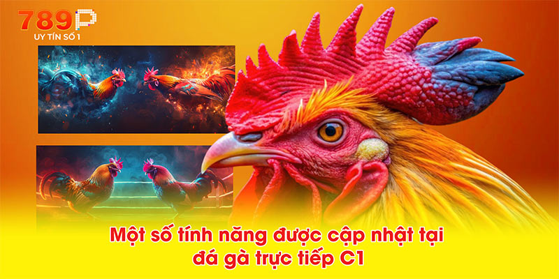 Một số tính năng được cập nhật tại đá gà trực tiếp C1