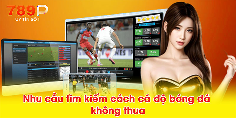 Nhu cầu tìm kiếm cách cá độ bóng đá không thua