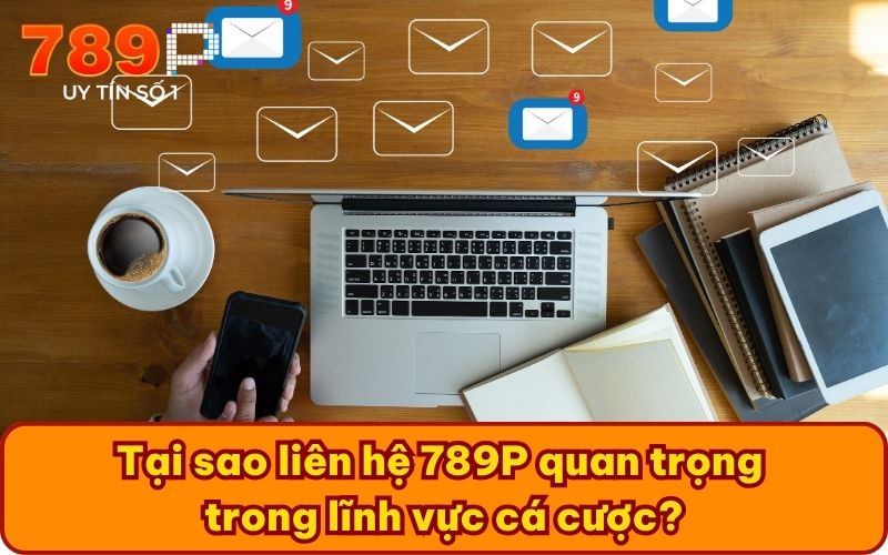 Tại sao liên hệ 789P quan trọng trong lĩnh vực cá cược?